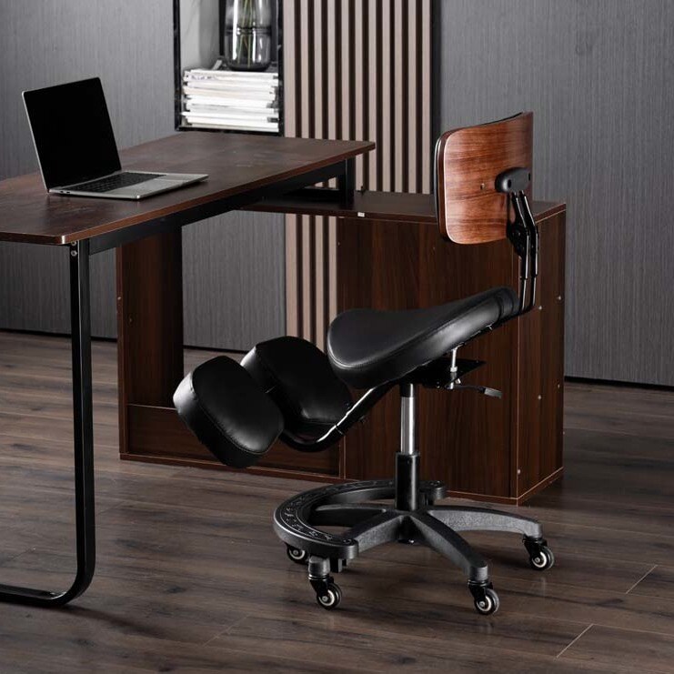 Silla Ergonómica Ajustable par - Computer Case reseña y precio